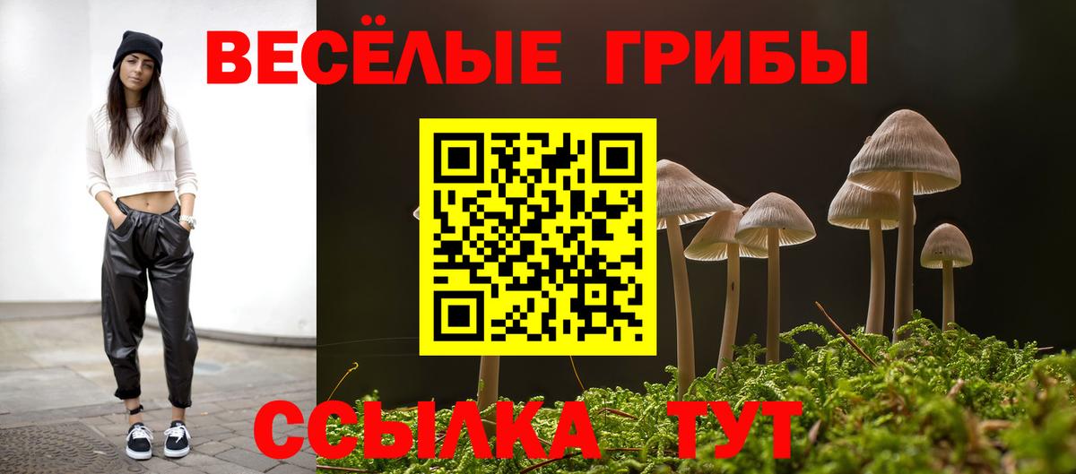 Псилоцибиновые грибы прущие грибы Алексеевка
